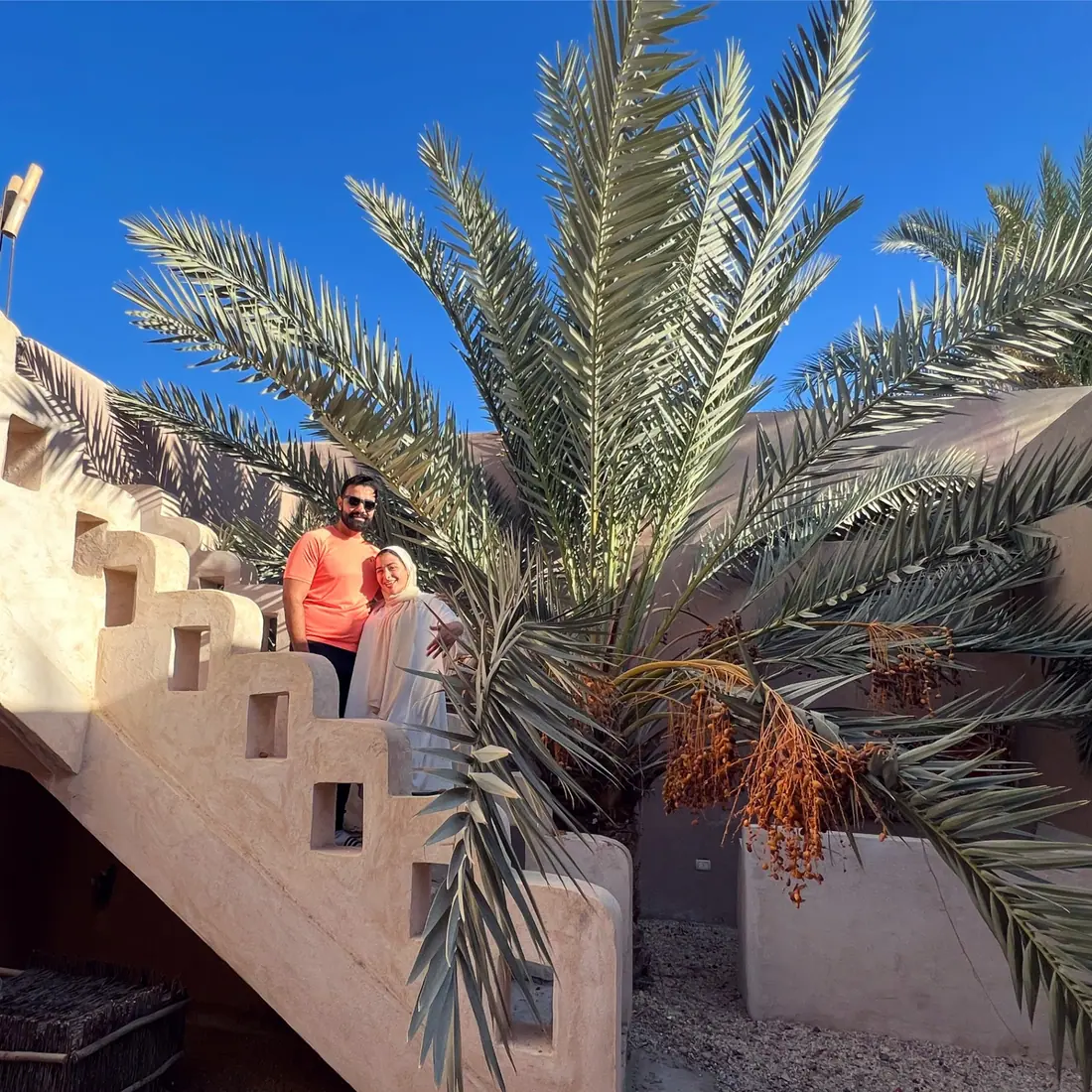 A date palm heavy with fruit beside the mud-brick stairs at Aghurmi