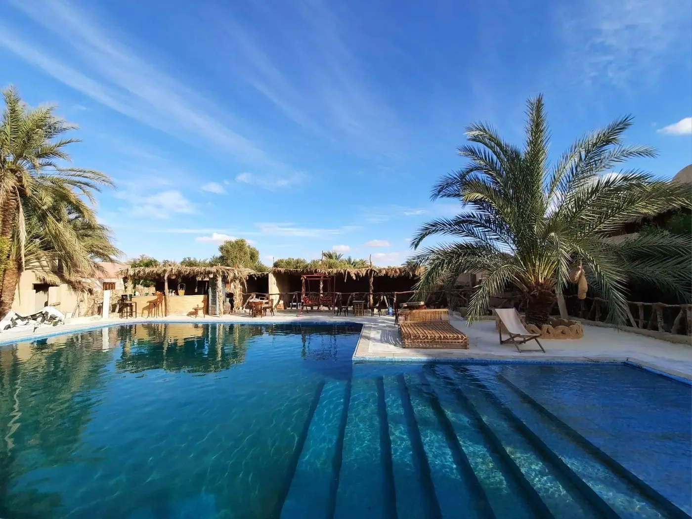 The Aghurmi pool framed by date palms under a clear Siwa sky